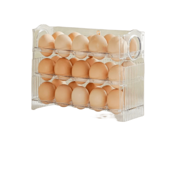 Range Oeuf Plastique