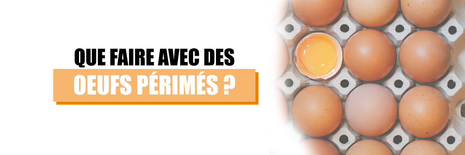 Que faire avec des œufs périmés ? Le Coquetier
