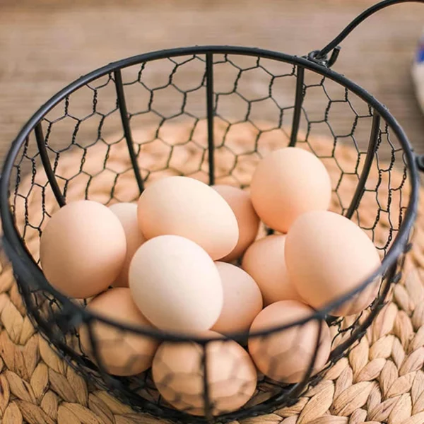 Panier à Oeuf en Fer – Image 3
