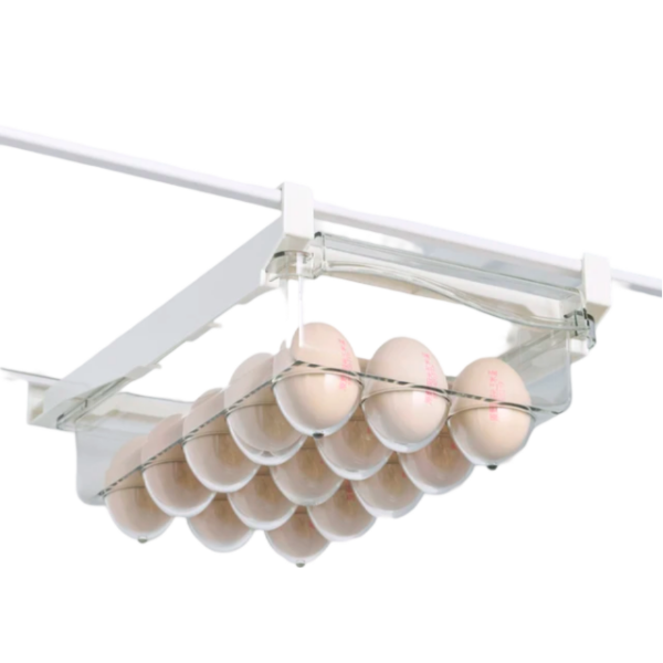 Range Oeuf Tiroir pour Réfrigérateur